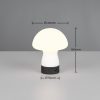 Trio TR54981131 LED stolní lampička DOOLEY | 1,5W integrovaný LED zdroj