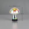 Trio TR54981153 LED stolní lampička DOOLEY | 1,5W integrovaný LED zdroj