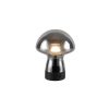 Trio TR54981154 LED stolní lampička DOOLEY | 1,5W integrovaný LED zdroj