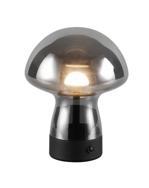 Trio TR54981154 LED stolní lampička DOOLEY | 1,5W integrovaný LED zdroj