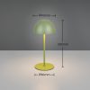 Trio TR55601115 LED stolní lampička ORTIZ | 2W integrovaný LED zdroj