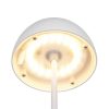 Trio TR55601131 LED stolní lampička ORTIZ | 2W integrovaný LED zdroj