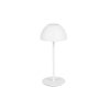 Trio TR55601131 LED stolní lampička ORTIZ | 2W integrovaný LED zdroj