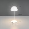 Trio TR55601131 LED stolní lampička ORTIZ | 2W integrovaný LED zdroj