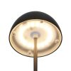 Trio TR55601132 LED stolní lampička ORTIZ | 2W integrovaný LED zdroj