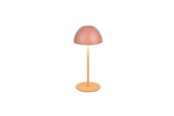 Trio TR55601140 LED stolní lampička ORTIZ | 2W integrovaný LED zdroj