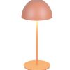 Trio TR55601140 LED stolní lampička ORTIZ | 2W integrovaný LED zdroj