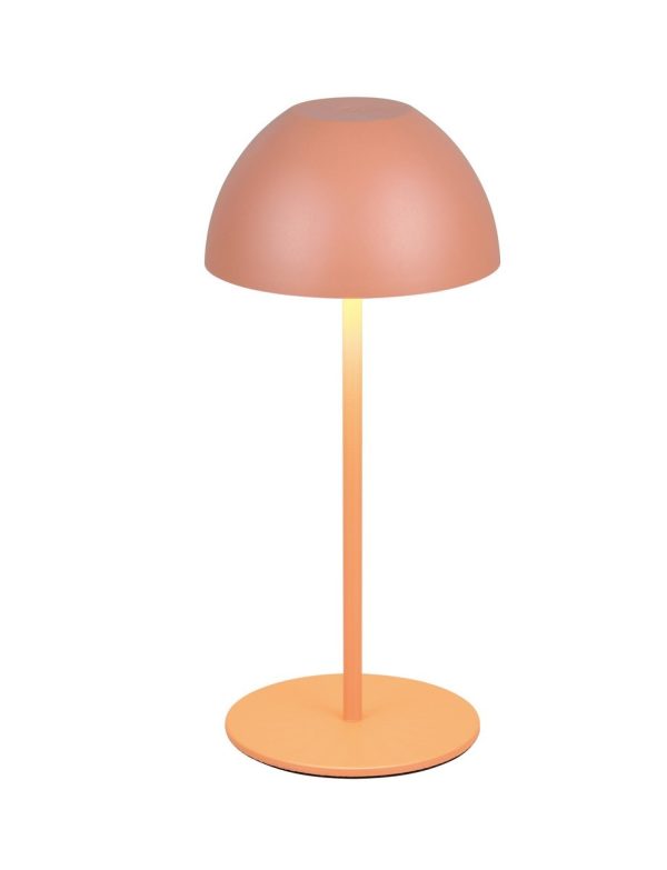 Trio TR55601140 LED stolní lampička ORTIZ | 2W integrovaný LED zdroj