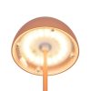 Trio TR55601140 LED stolní lampička ORTIZ | 2W integrovaný LED zdroj