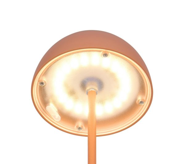Trio TR55601140 LED stolní lampička ORTIZ | 2W integrovaný LED zdroj