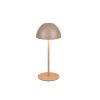 Trio TR55601165 LED stolní lampička ORTIZ | 2W integrovaný LED zdroj