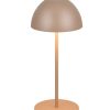 Trio TR55601165 LED stolní lampička ORTIZ | 2W integrovaný LED zdroj