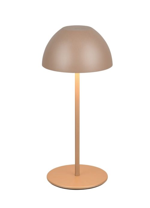 Trio TR55601165 LED stolní lampička ORTIZ | 2W integrovaný LED zdroj