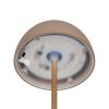 Trio TR55601165 LED stolní lampička ORTIZ | 2W integrovaný LED zdroj