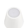 Trio TR55961131 LED stolní lampička DIAZ | 1,6W integrovaný LED zdroj