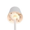Trio TR55961131 LED stolní lampička DIAZ | 1,6W integrovaný LED zdroj