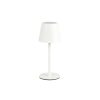 Trio TR55961131 LED stolní lampička DIAZ | 1,6W integrovaný LED zdroj