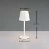 Trio TR55961131 LED stolní lampička DIAZ | 1,6W integrovaný LED zdroj
