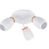 Trio TR61573331 bodové stropní svítidlo BIDAR E14
