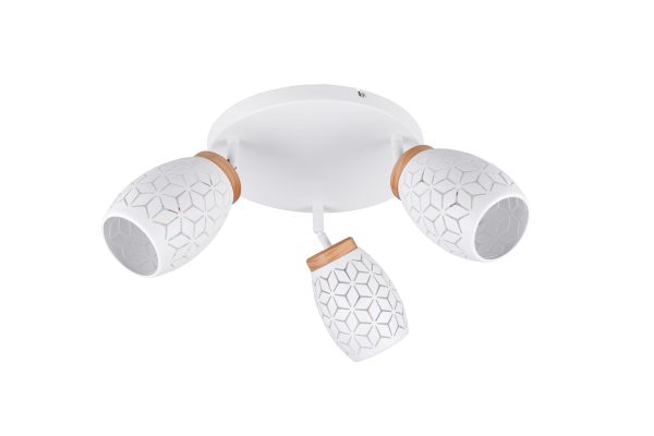 Trio TR61573331 bodové stropní svítidlo BIDAR E14
