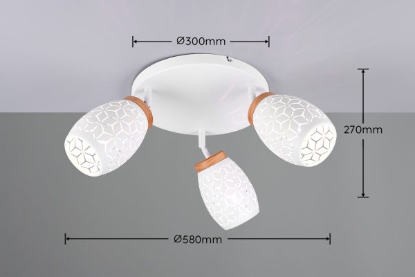 Trio TR61573331 bodové stropní svítidlo BIDAR E14