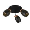 Trio TR61573380 bodové stropní svítidlo BIDAR E14