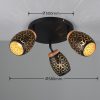 Trio TR61573380 bodové stropní svítidlo BIDAR E14