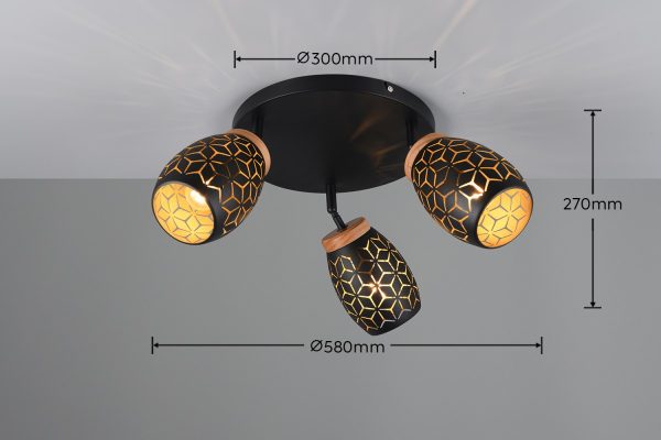 Trio TR61573380 bodové stropní svítidlo BIDAR E14