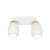 Trio TR81572031 bodové stropní svítidlo BIDAR E14