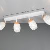 Trio TR81574031 bodové stropní svítidlo BIDAR E14