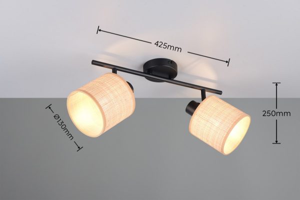 Trio TR81852036 bodové stropní svítidlo AIMEE E14