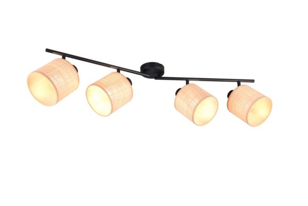 Trio TR81854036 bodové stropní svítidlo AIMEE E14
