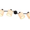 Trio TR81854036 bodové stropní svítidlo AIMEE E14