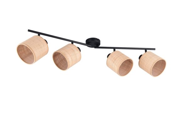 Trio TR81854036 bodové stropní svítidlo AIMEE E14