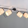 Trio TR81854036 bodové stropní svítidlo AIMEE E14