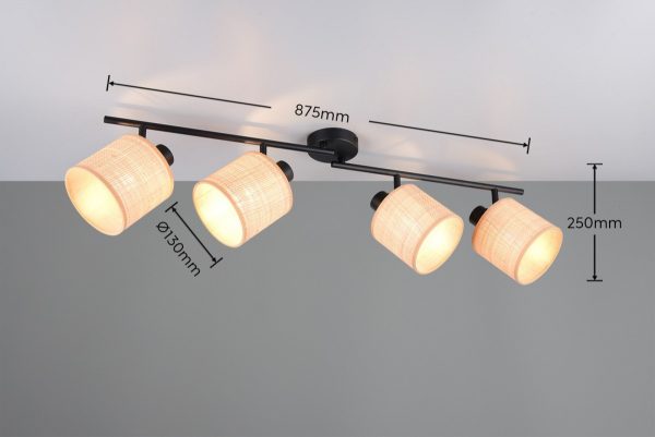 Trio TR81854036 bodové stropní svítidlo AIMEE E14