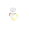 Trio TR81921731 bodové nástěnné svítidlo VALENTIN E14