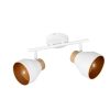 Trio TR81922031 bodové stropní svítidlo VALENTIN E14