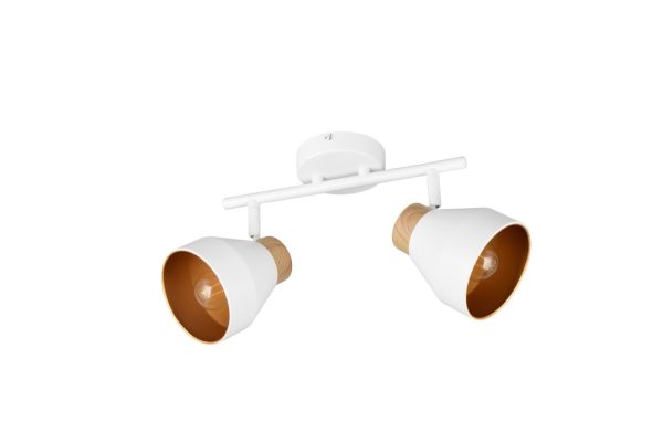 Trio TR81922031 bodové stropní svítidlo VALENTIN E14