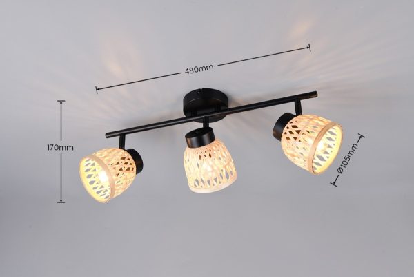 Trio TR86093032 bodové stropní svítidlo LAURENT E14