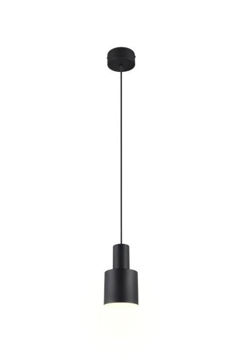 Trio T319400132 závěsné stropní svítidlo AGUDO  E27