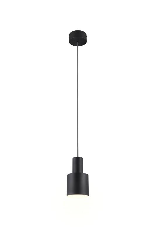 Trio T319400132 závěsné stropní svítidlo AGUDO  E27