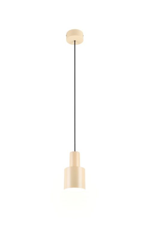 Trio T319400144 závěsné stropní svítidlo AGUDO  E27