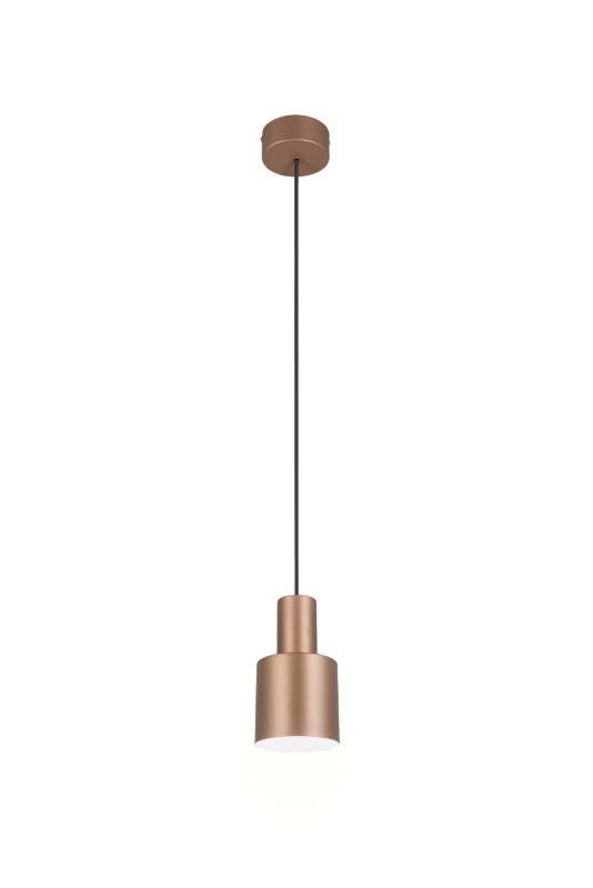 Trio T319400165 závěsné stropní svítidlo AGUDO  E27