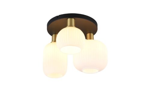 Trio T619800308 přisazené stropní svítidlo DIVA  E27