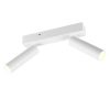 Trio T849210231 LED bodové stropní svítidlo AMBALA  integrovaný LED zdroj | 2x500lm | 2300+3000+4000K