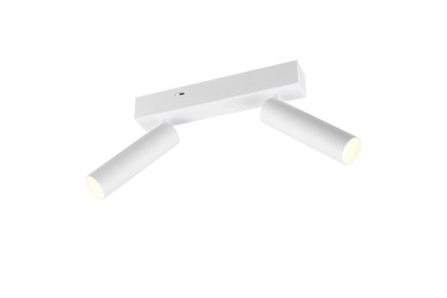 Trio T849210231 LED bodové stropní svítidlo AMBALA  integrovaný LED zdroj | 2x500lm | 2300+3000+4000K