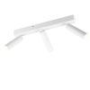 Trio T849210331 LED bodové stropní svítidlo AMBALA  integrovaný LED zdroj | 3x500lm | 2300+3000+4000K