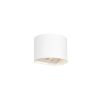 Trio TR24161631 LED nástěnné svítidlo GENIE | 1W integrovaný LED zdroj