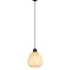 Trio TR31941036 závěsné stropní svítidlo AMELIE E27